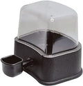Bebedouro Automático Petlon Vinho para Cães