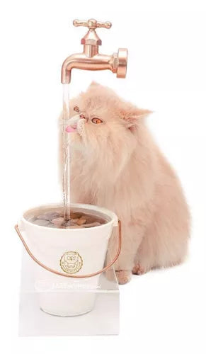 Fonte Torneira Magicat Gold + Suporte Acrilico Cat My Pet